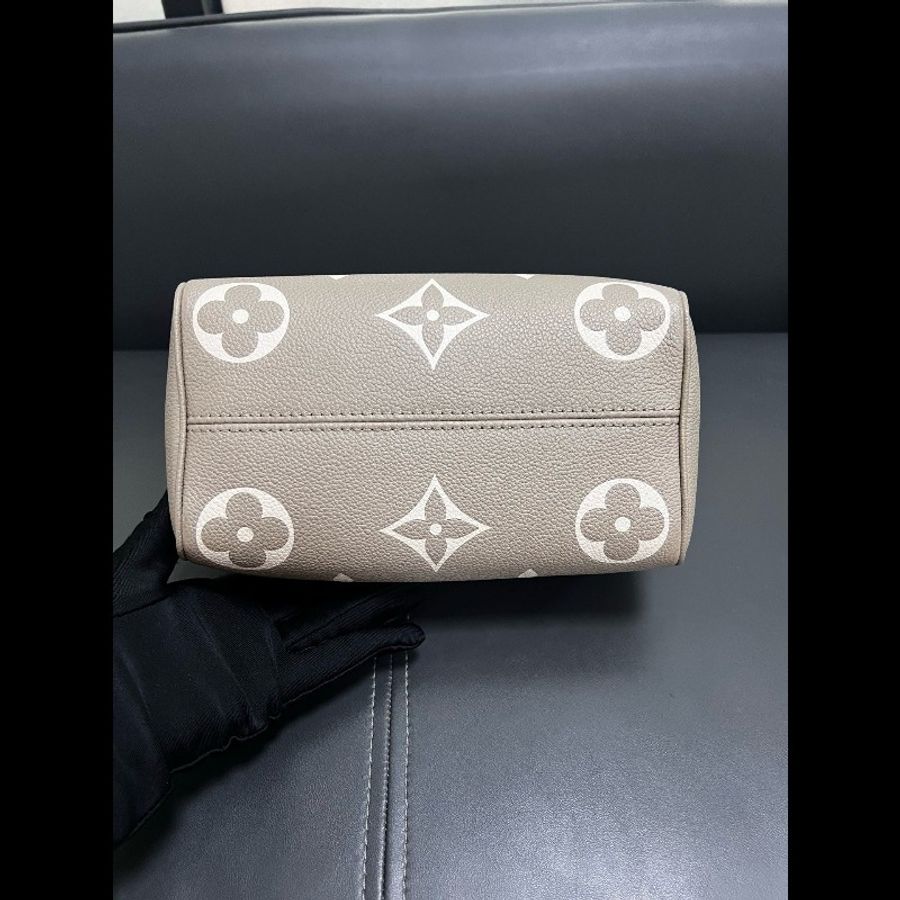 LV speedy20 大象灰全皮-4