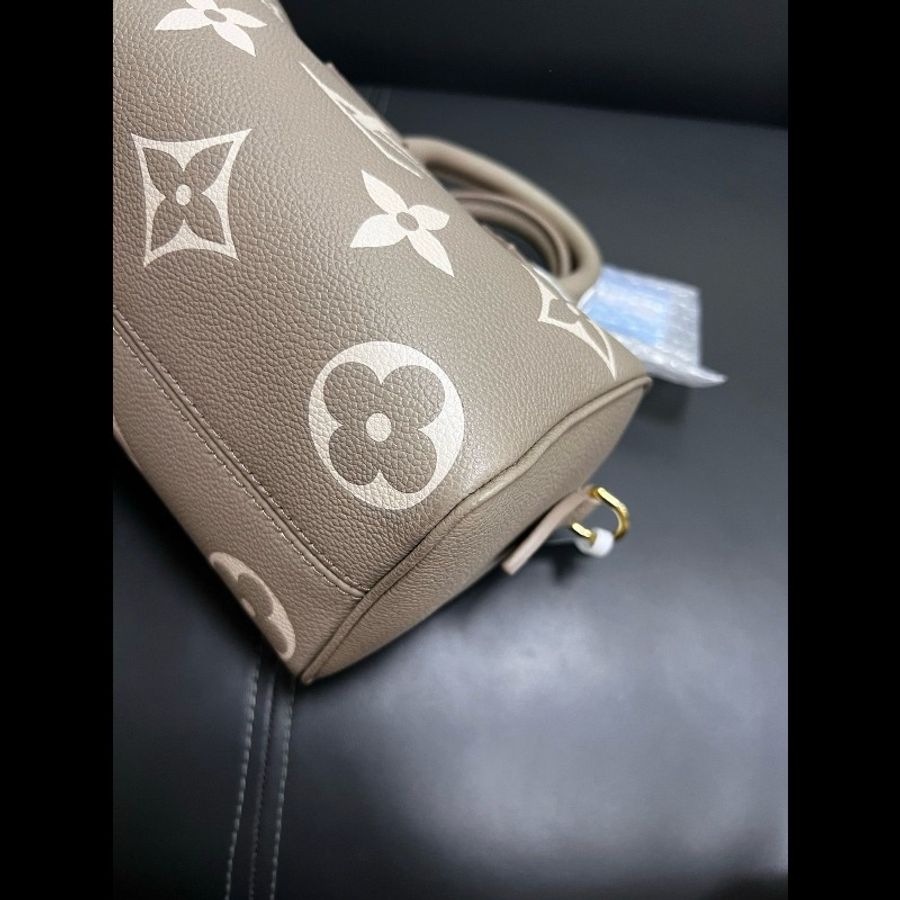 LV speedy20 大象灰全皮-11