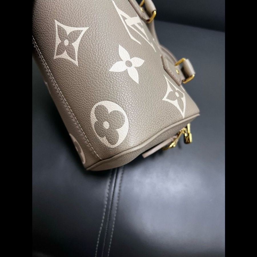 LV speedy20 大象灰全皮-12