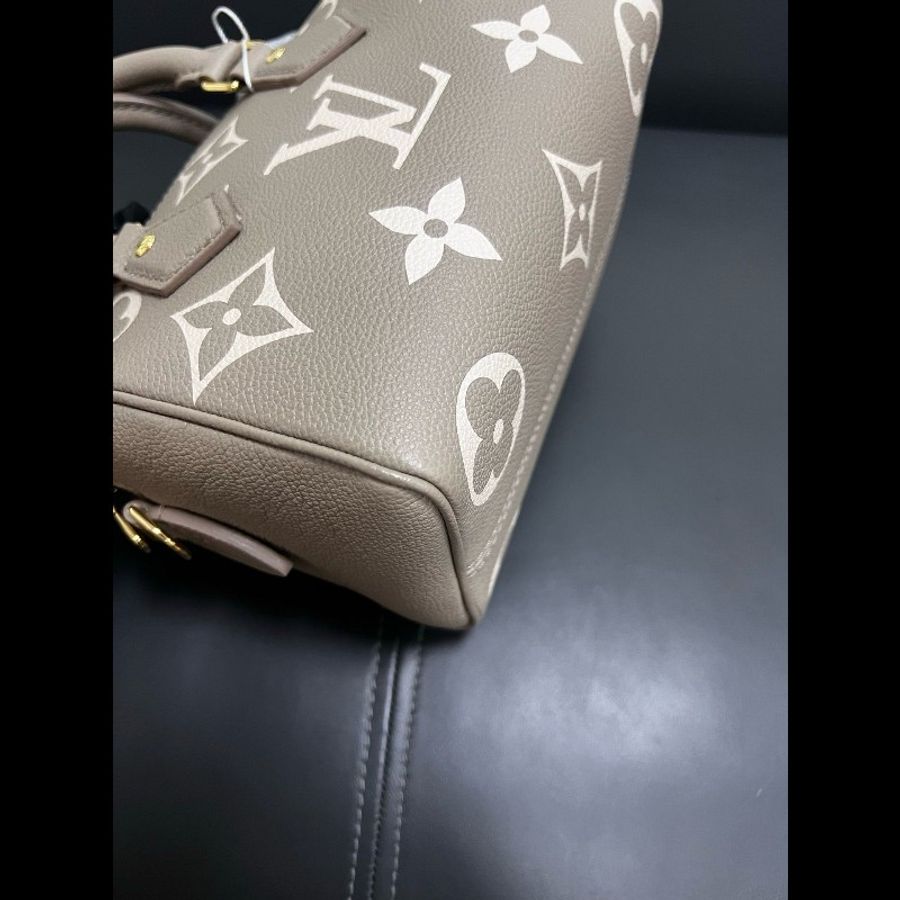 LV speedy20 大象灰全皮-17