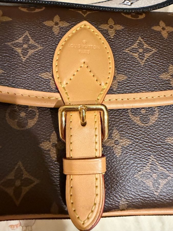 Louis Vuitton 法棍包 晶片款（這品相我最便宜）-4