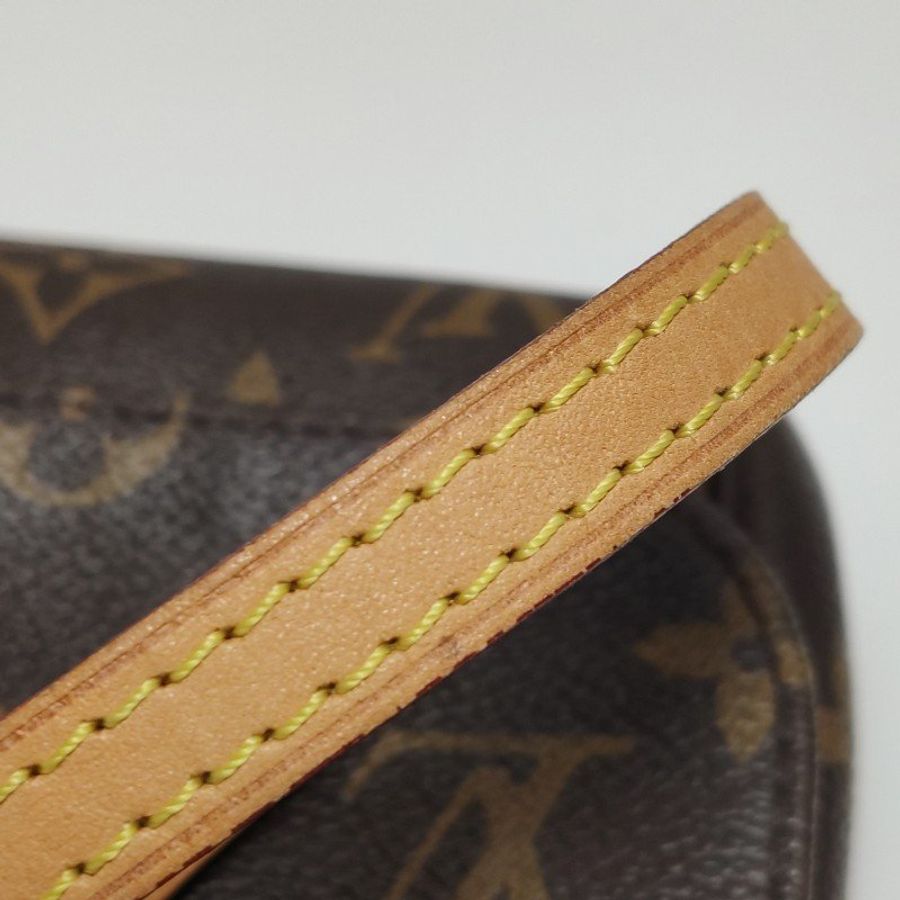 Louis Vuitton (LV) Favorite小號植鞣革Monogram印花Logo標誌牌斜挎包單肩包-18