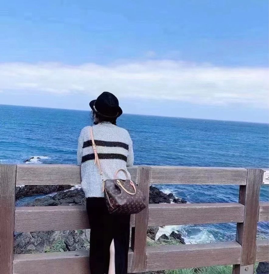 LV 路易威登 Turenne中號  單肩斜挎手提包 尺寸35*24*14-9