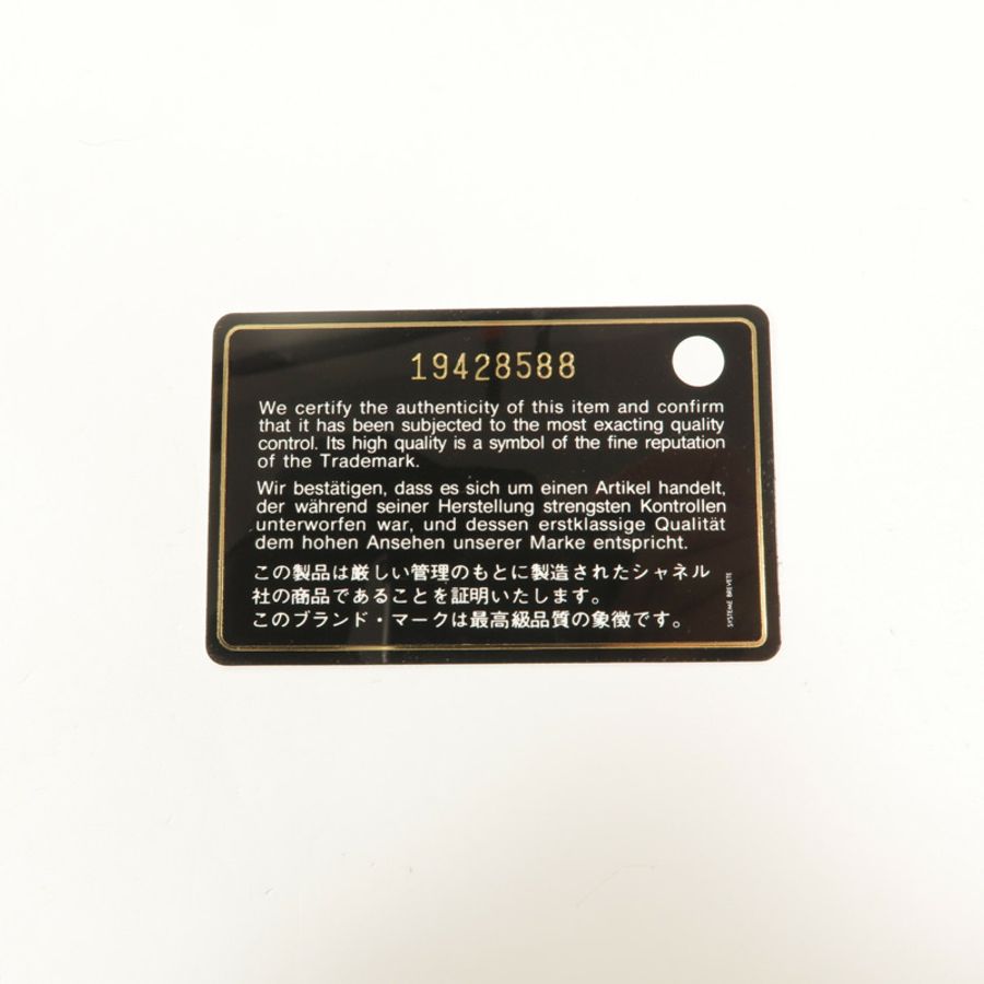 CHANEL 羊皮皮革Large Classic鏈帶肩背袋-10