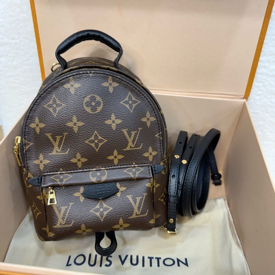 Lv 原花Palm springs mini小書包-7