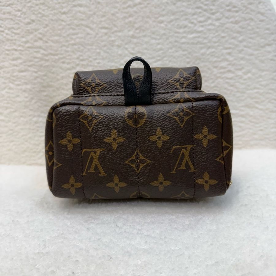 Lv 原花Palm springs mini小書包-9