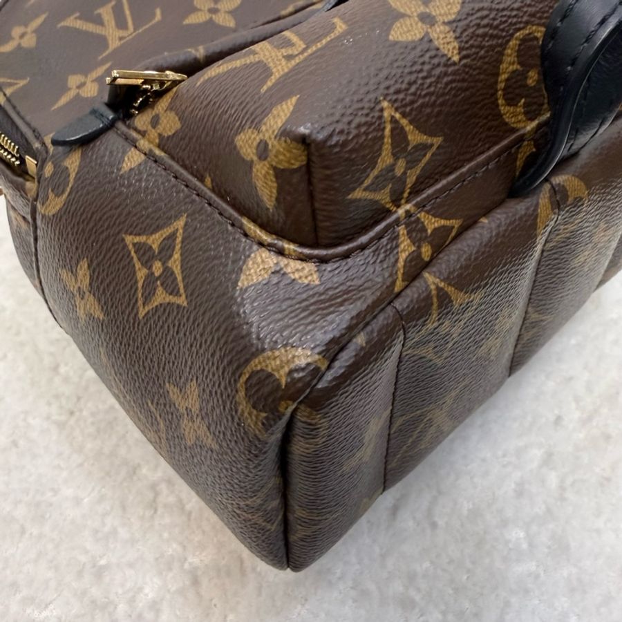 Lv 原花Palm springs mini小書包-10