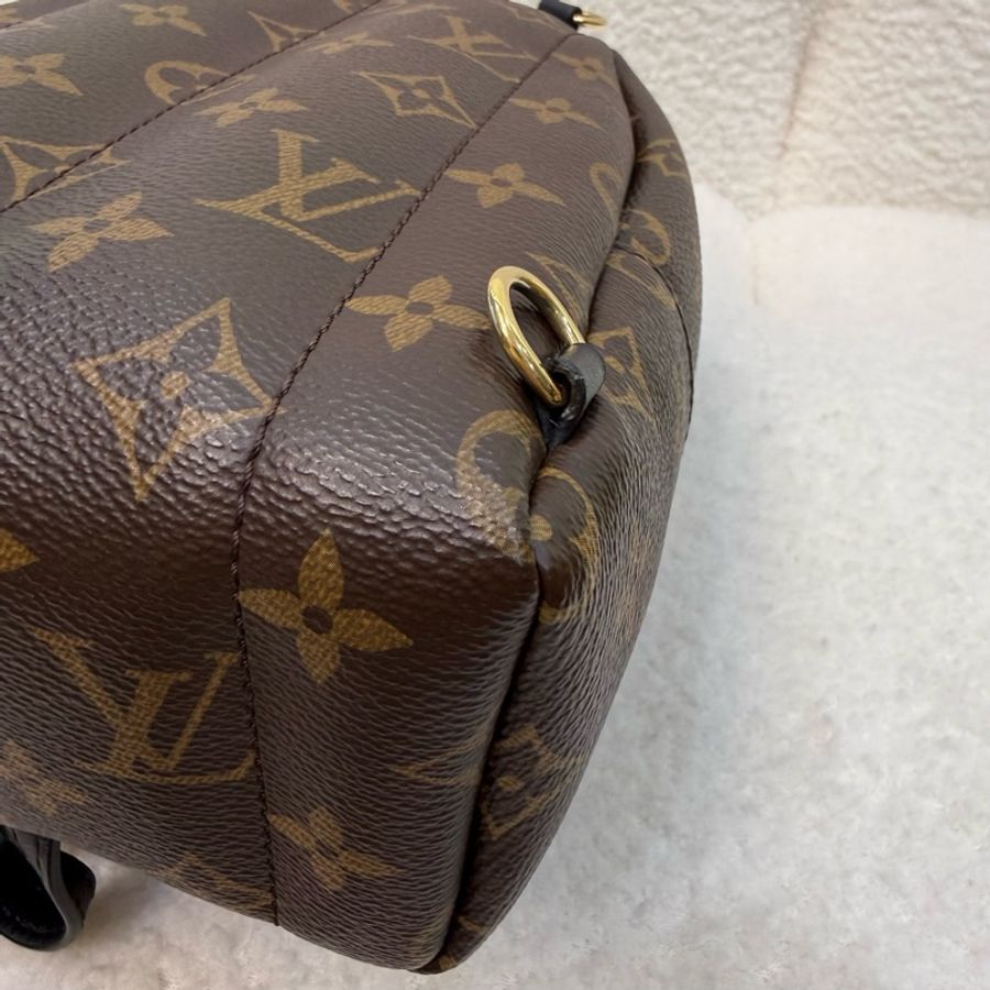 Lv 原花Palm springs mini小書包-12
