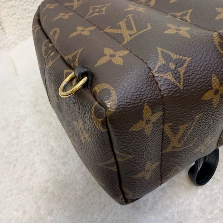 Lv 原花Palm springs mini小書包-13