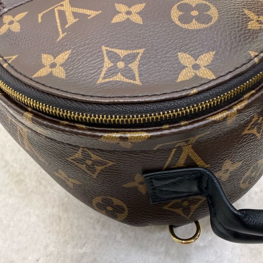 Lv 原花Palm springs mini小書包-17