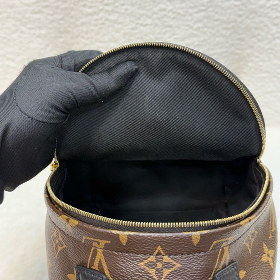 Lv 原花Palm springs mini小書包-18