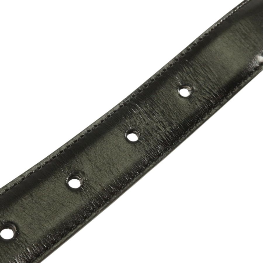 CELINE 牛皮皮革Triomphe Belt 70cm金扣皮帶-7