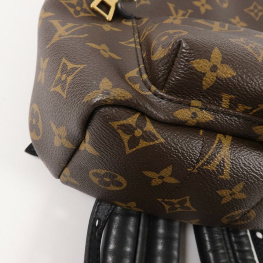 LOUIS VUITTON Monogram Palm Springs PM背包-13