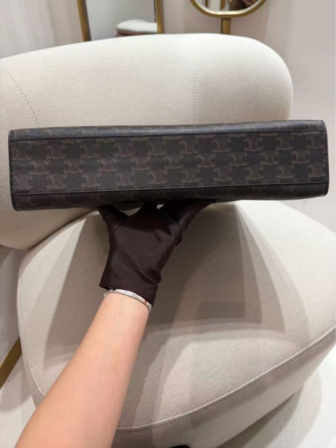 Celine Large Tote-3