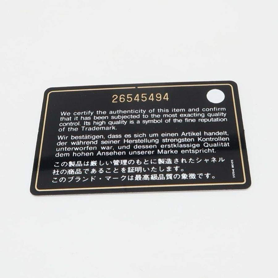 Chanel 流浪包 Small Size-29