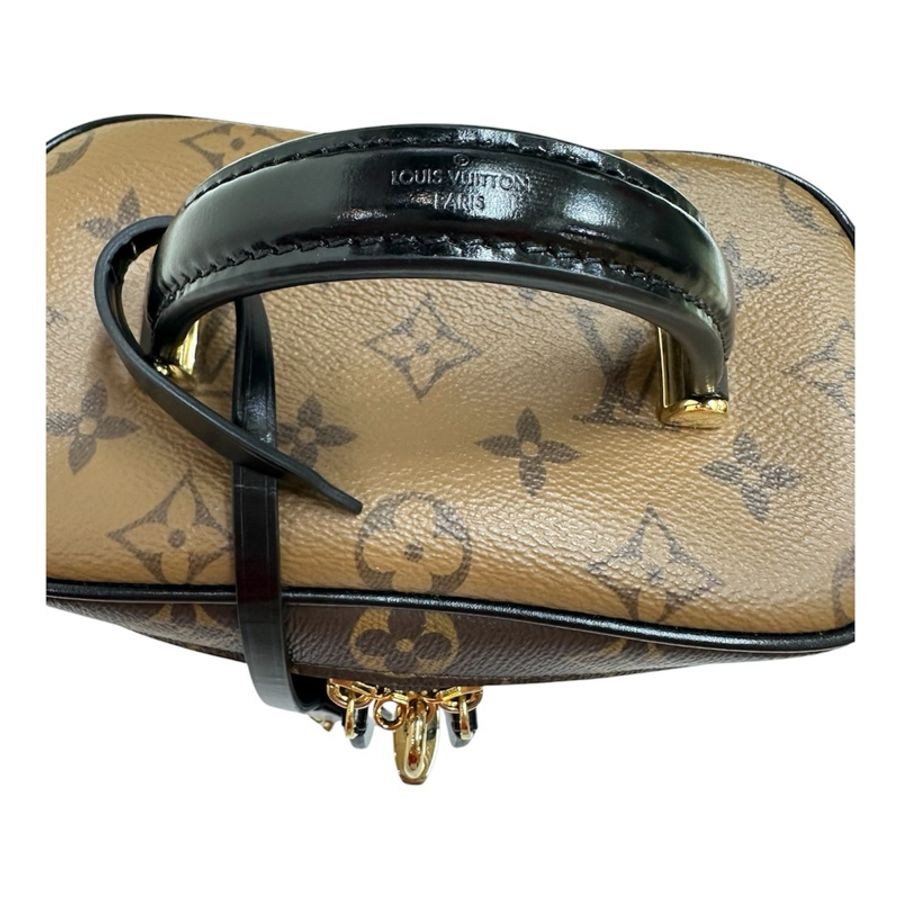 LV M45165 Vanity Case-10