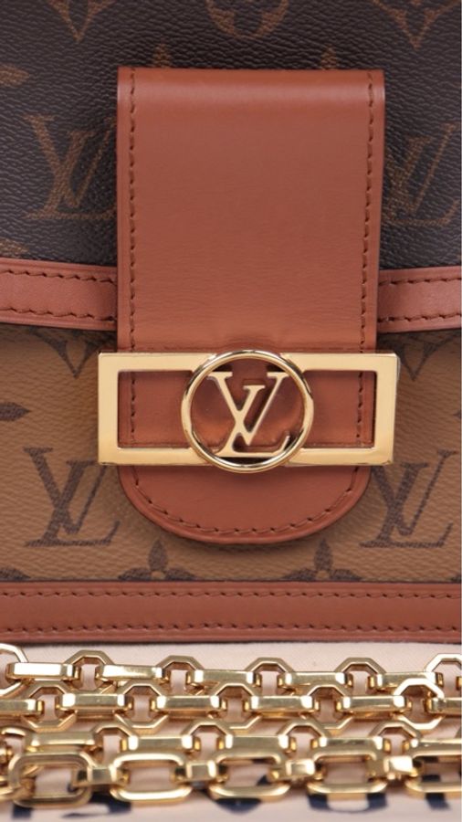 LV Dauphine达芙妮老花中号单肩包-10