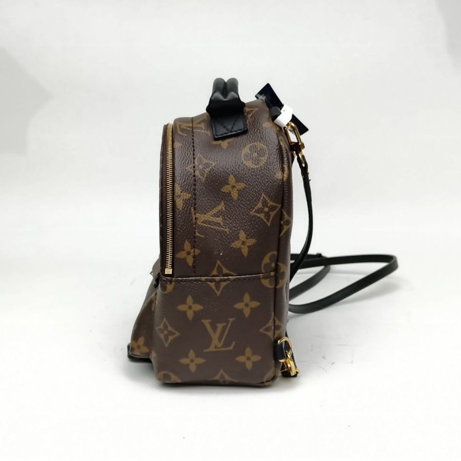 LOUIS VUITTON PalmSprings小書包Mini老花PVC2020肩背包-1