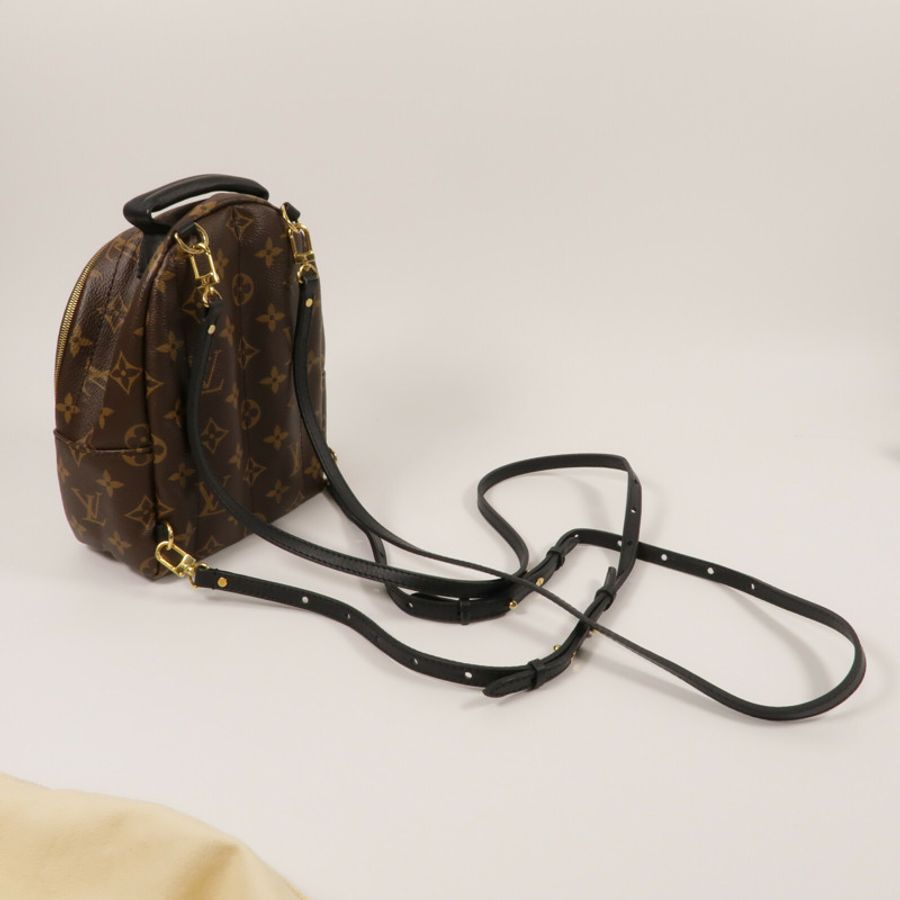 LOUIS VUITTON Monogram Palm Springs Mini金扣背包-8