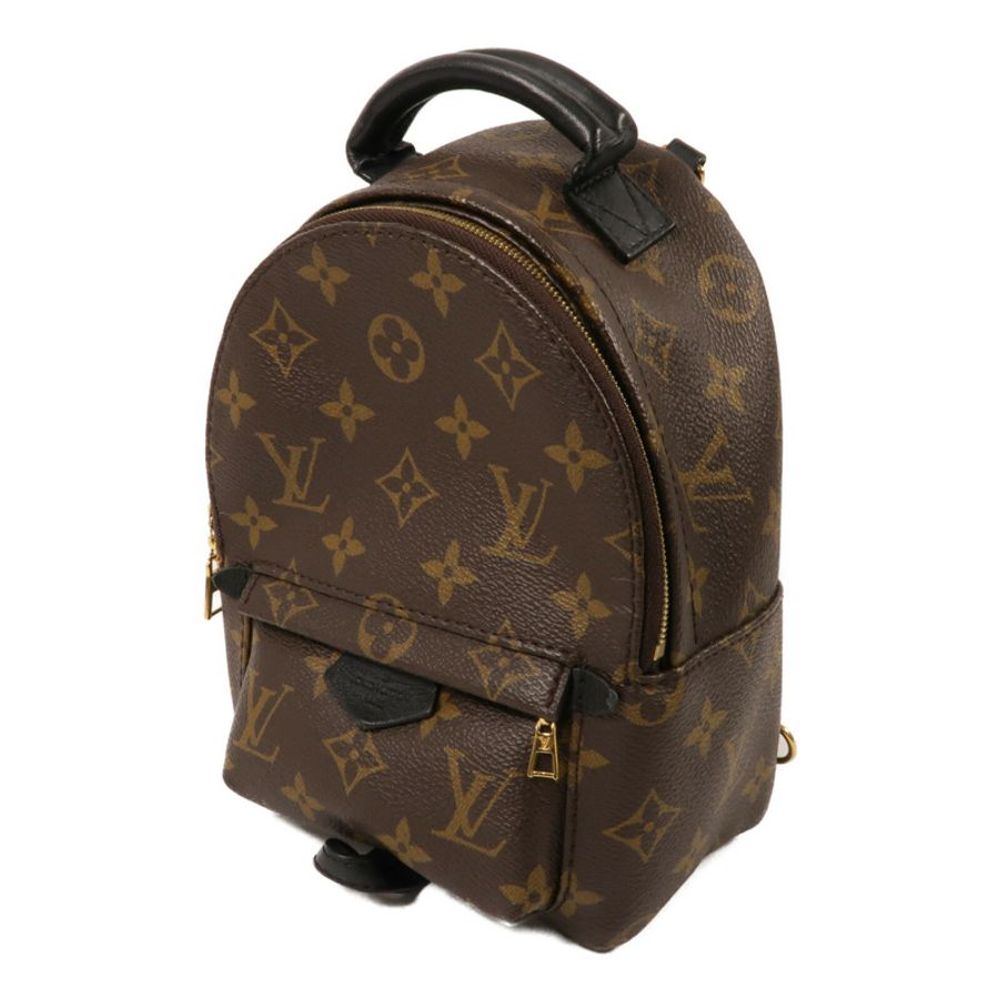 LOUIS VUITTON Monogram Palm Springs Mini背包-1