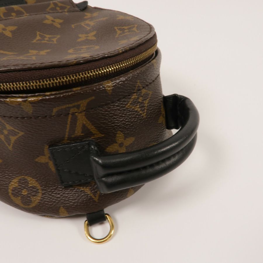 LOUIS VUITTON Monogram Palm Springs Mini背包-7