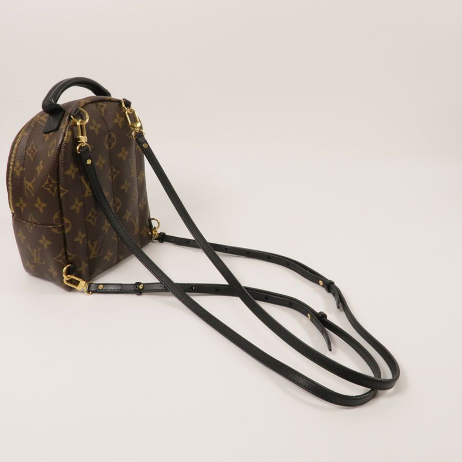 LOUIS VUITTON Monogram Palm Springs Mini背包-8