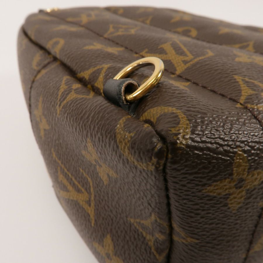 LOUIS VUITTON Monogram Palm Springs Mini背包-12