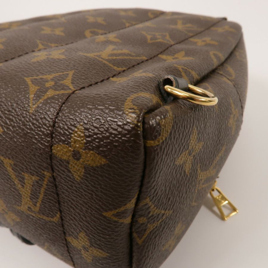 LOUIS VUITTON Monogram Palm Springs Mini背包-13