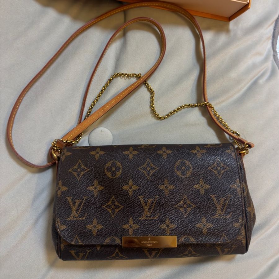 LV Louis Vuitton Favorite handbag - middle size 中號袋-0