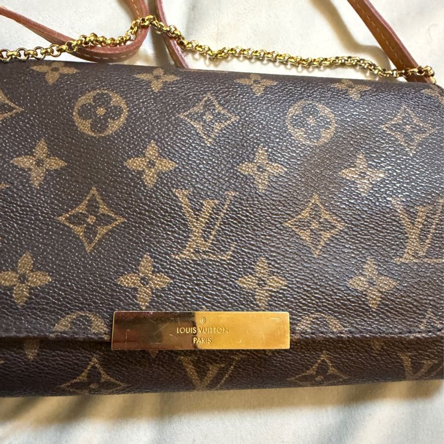 LV Louis Vuitton Favorite handbag - middle size 中號袋-2