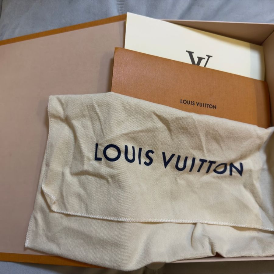 LV Louis Vuitton Favorite handbag - middle size 中號袋-5