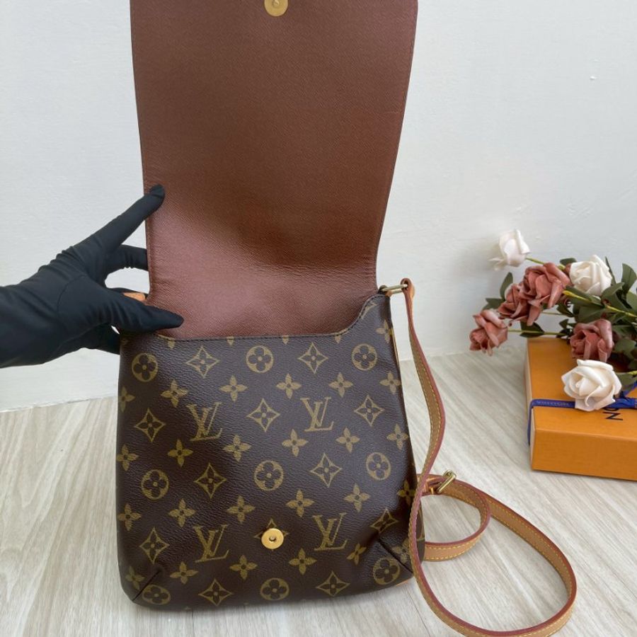 LV 老花豎版王菲包-6