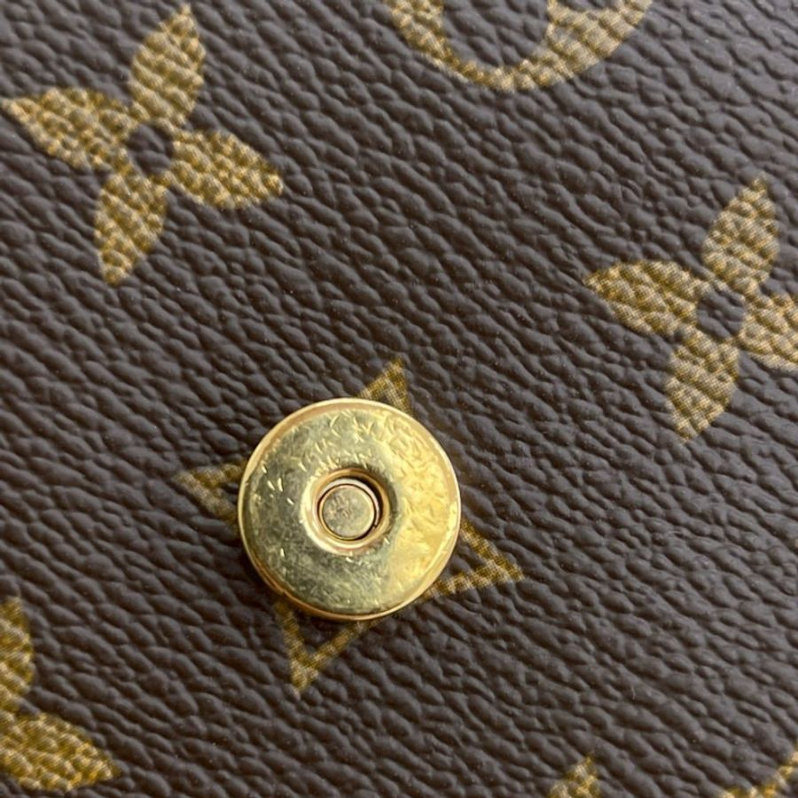 LV 老花豎版王菲包-11