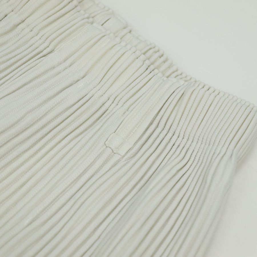 ISSEY MIYAKE三宅一生 HOMME PLISSE 灰白色 褶皺 長褲 SIZE1-2