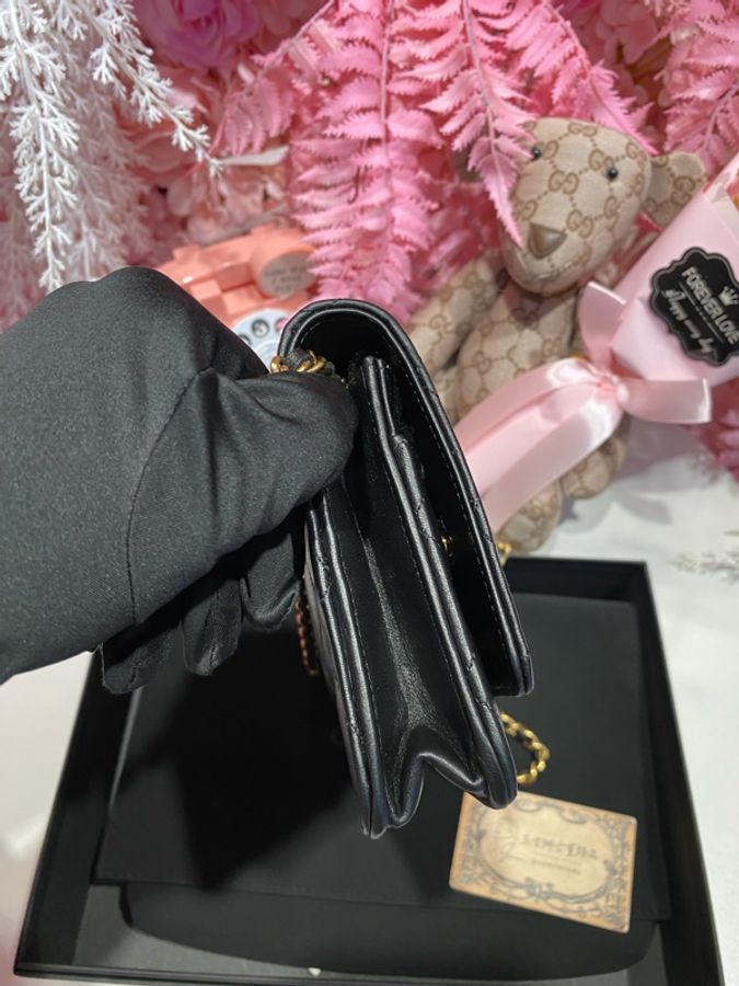 Chanel 黑金徽章woc包-2