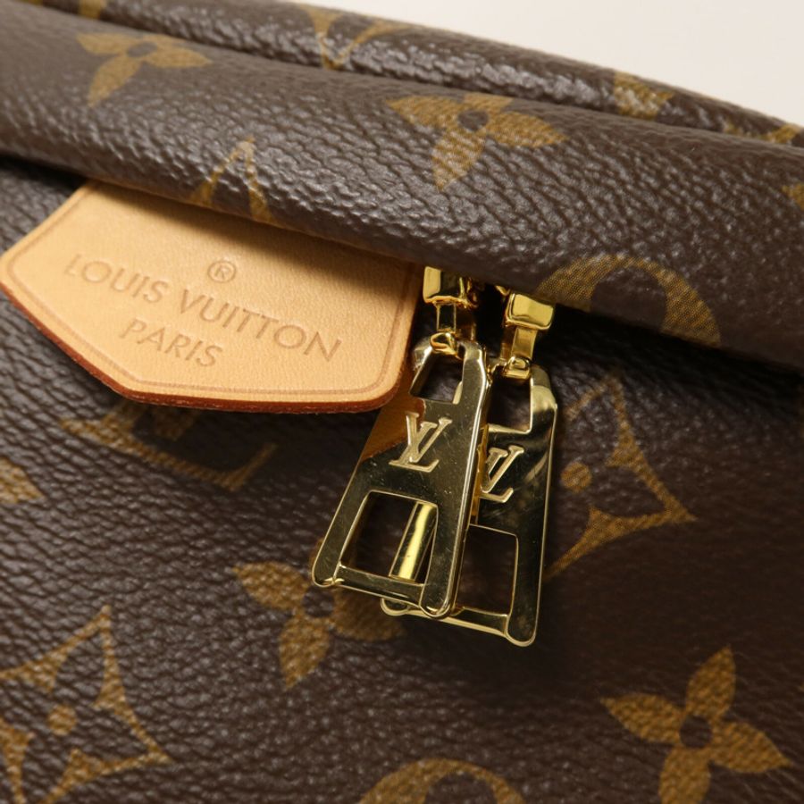 LOUIS VUITTON Monogram Bum Bag腰包-10