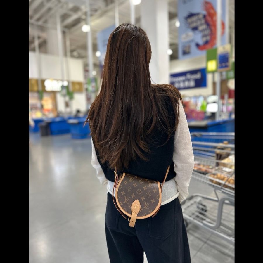 LOUIS VUITTON /路易威登 Tambourin經典老花小豬包馬鞍包 女款棕色-0