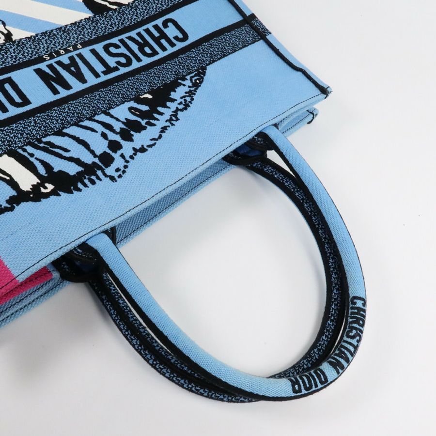 Dior 帆布Book Tote Medium手挽袋-7