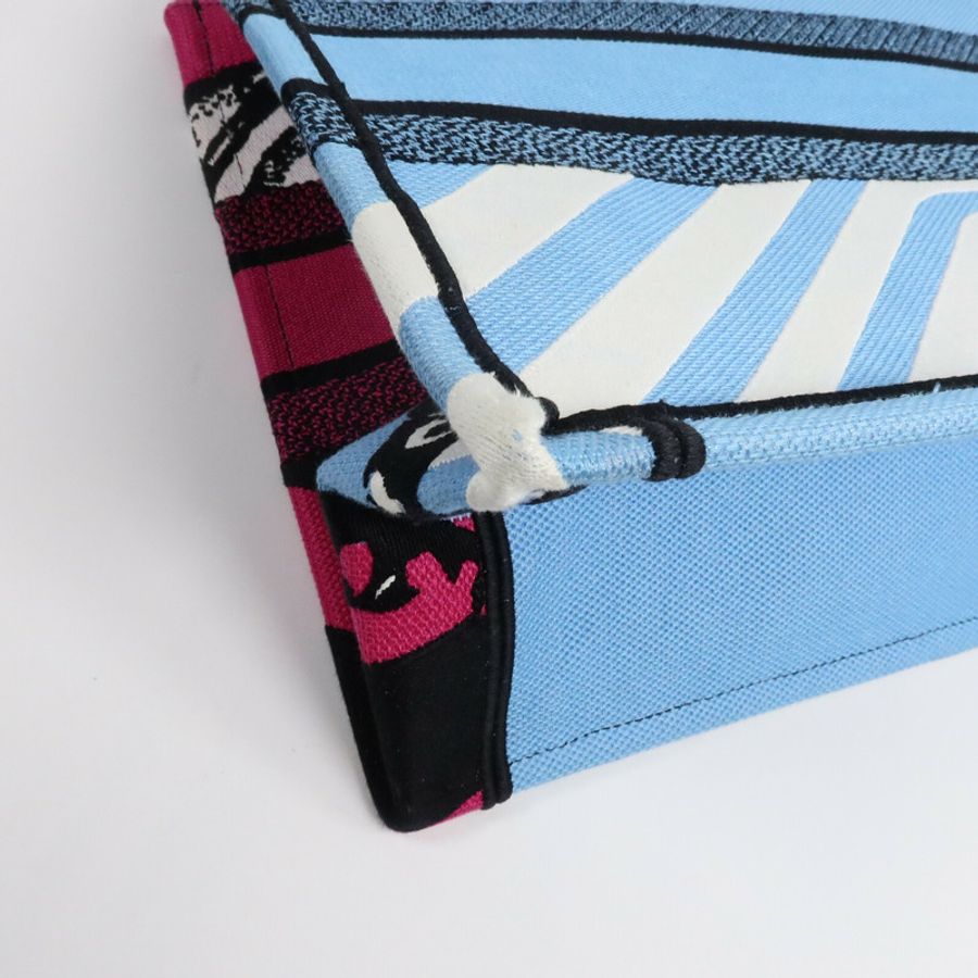 Dior 帆布Book Tote Medium手挽袋-12