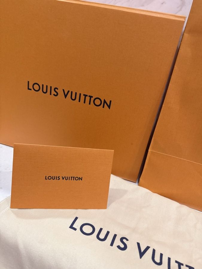 💗Lv 經典老花 Speedy 20 M46222 💗 有兩條背帶💗芯片款-4