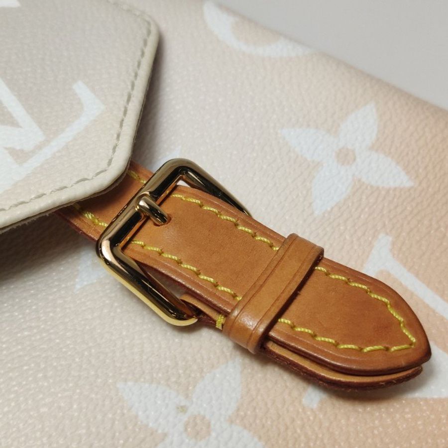 Louis Vuitton (LV) Tiny植鞣革漸變老花扣環雙肩包晶片款-9