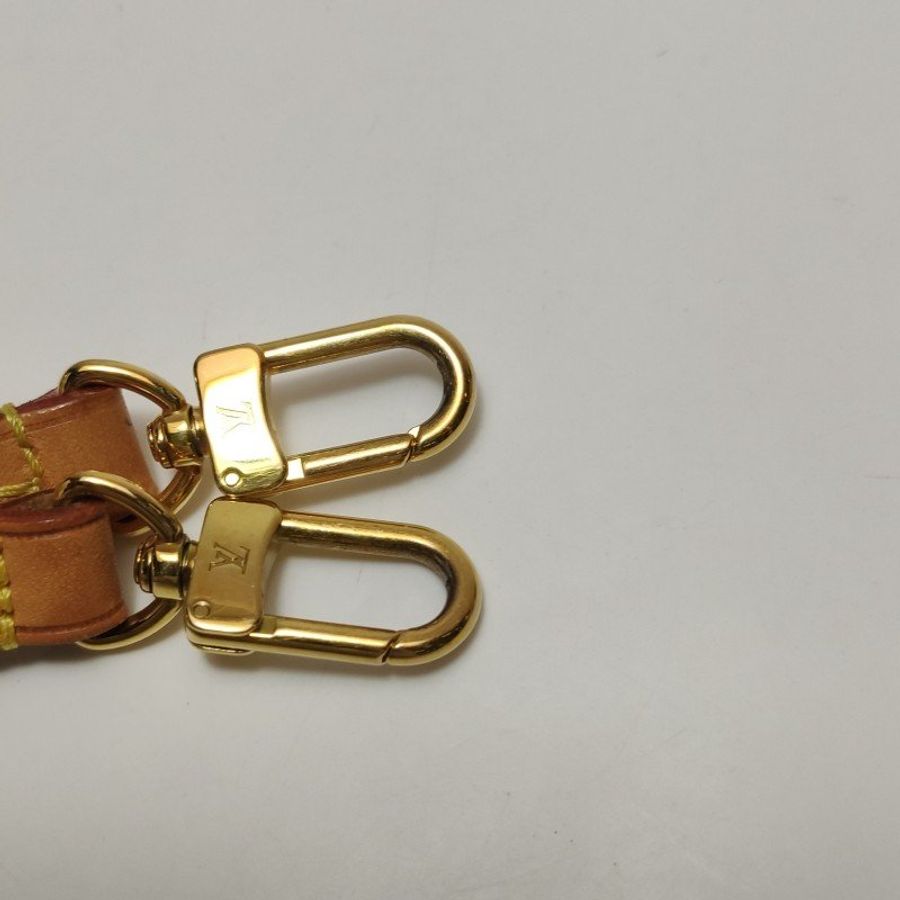 Louis Vuitton (LV) Tiny植鞣革漸變老花扣環雙肩包晶片款-12