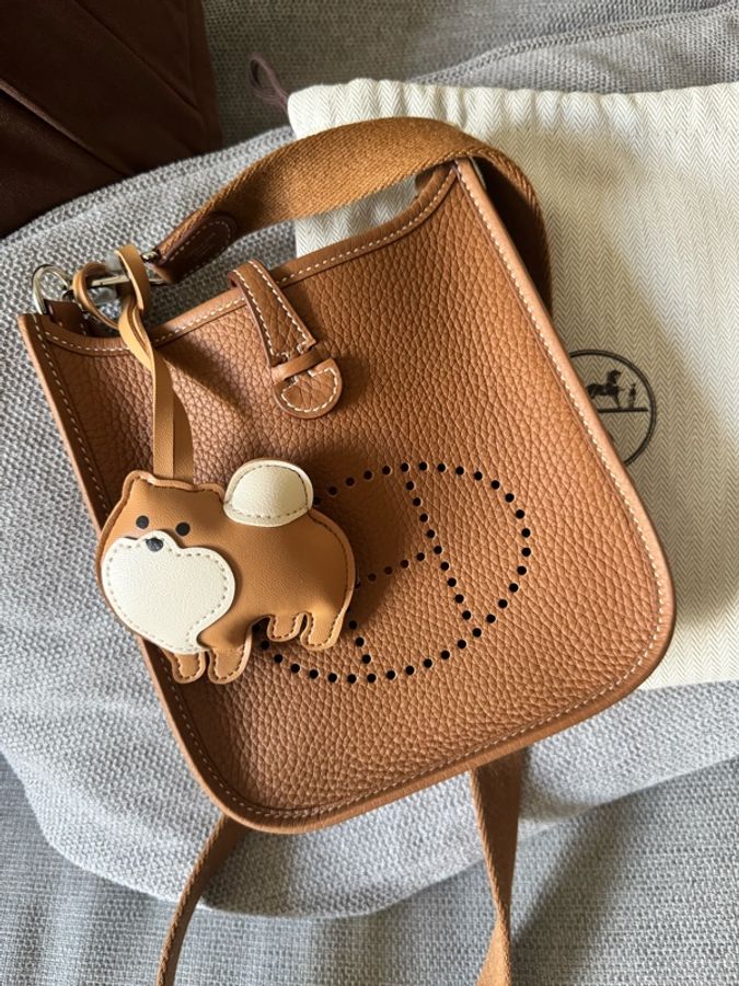 Hermes mini Evelyn-0