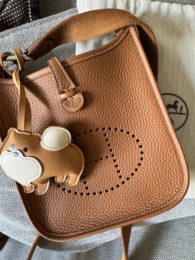 Hermes mini Evelyn-1