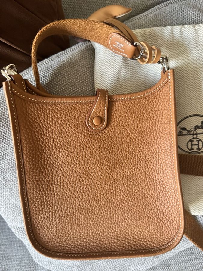 Hermes mini Evelyn-3