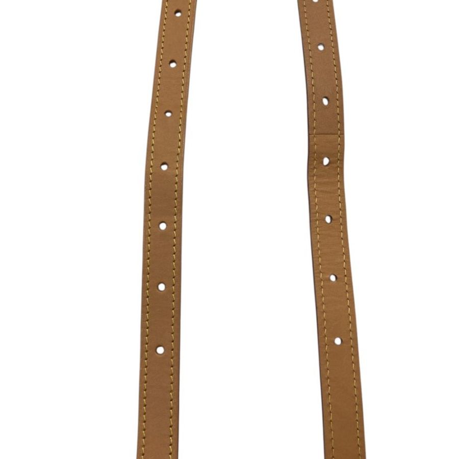 LOUIS VUITTON 路易威登 CARRYALL PM M46203 肩背包 老花 金釦-30