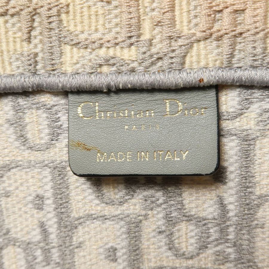 Dior 帆布Book Tote Medium手挽袋-5