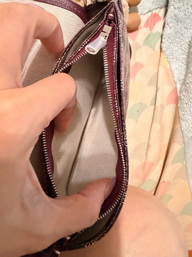Goyard 信封包-6