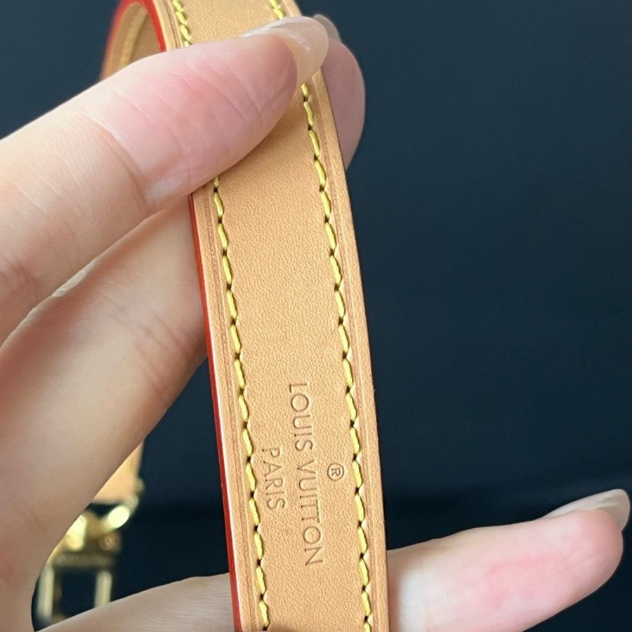芯片款!Louis Vuitton LV Loop 豌豆包/月亮包-10