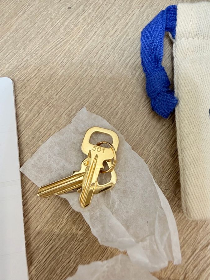 LV 灰speedy 20手提斜背-24